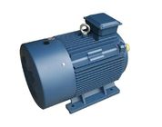 YE3 Series Electric Motor / Three Phase Induction Motor With Cast Iron Frame