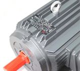 High Efficiency Electric Motor , YX3 Series Three Phase Asynchronous Motor